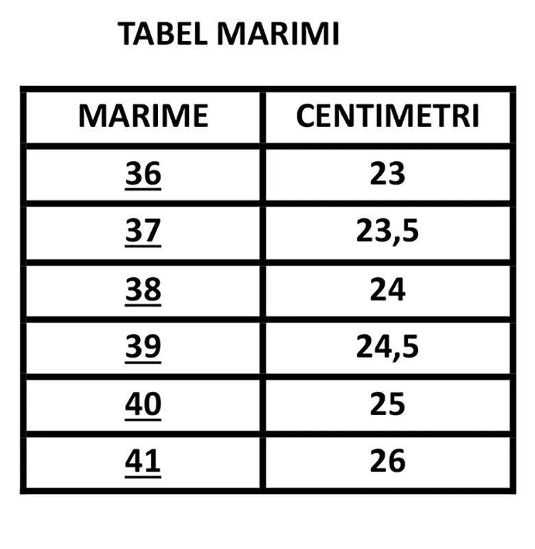Ghid mărimi Pantofi dama casual 102 -006